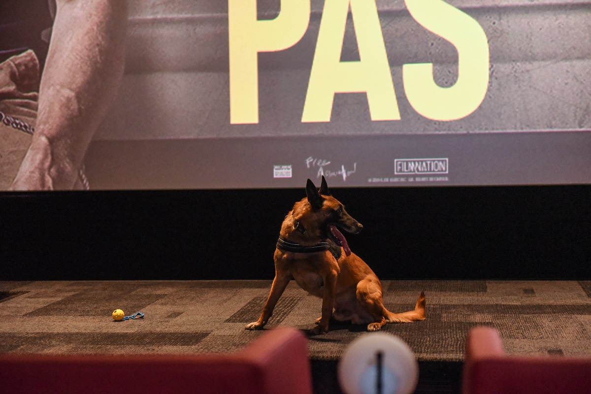 dog weekend u cinestaru sarajevo i banjaluka