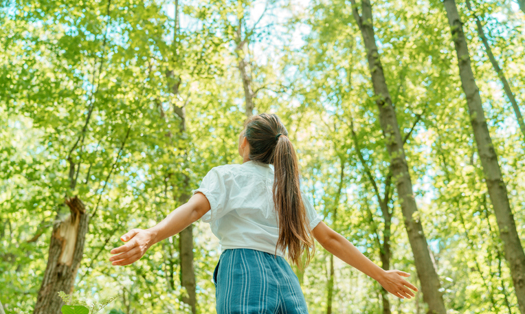 Šumska terapija: Dar prirode za vaše mentalno zdravlje