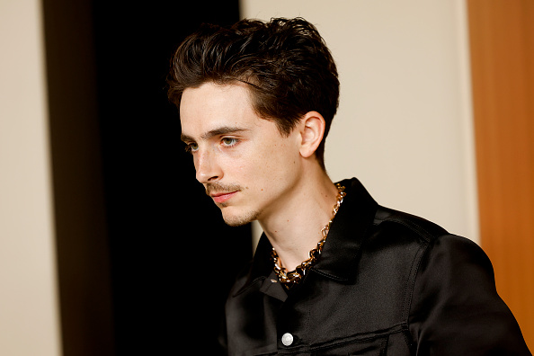 Timothée Chalamet i njegove bivše ljubavi